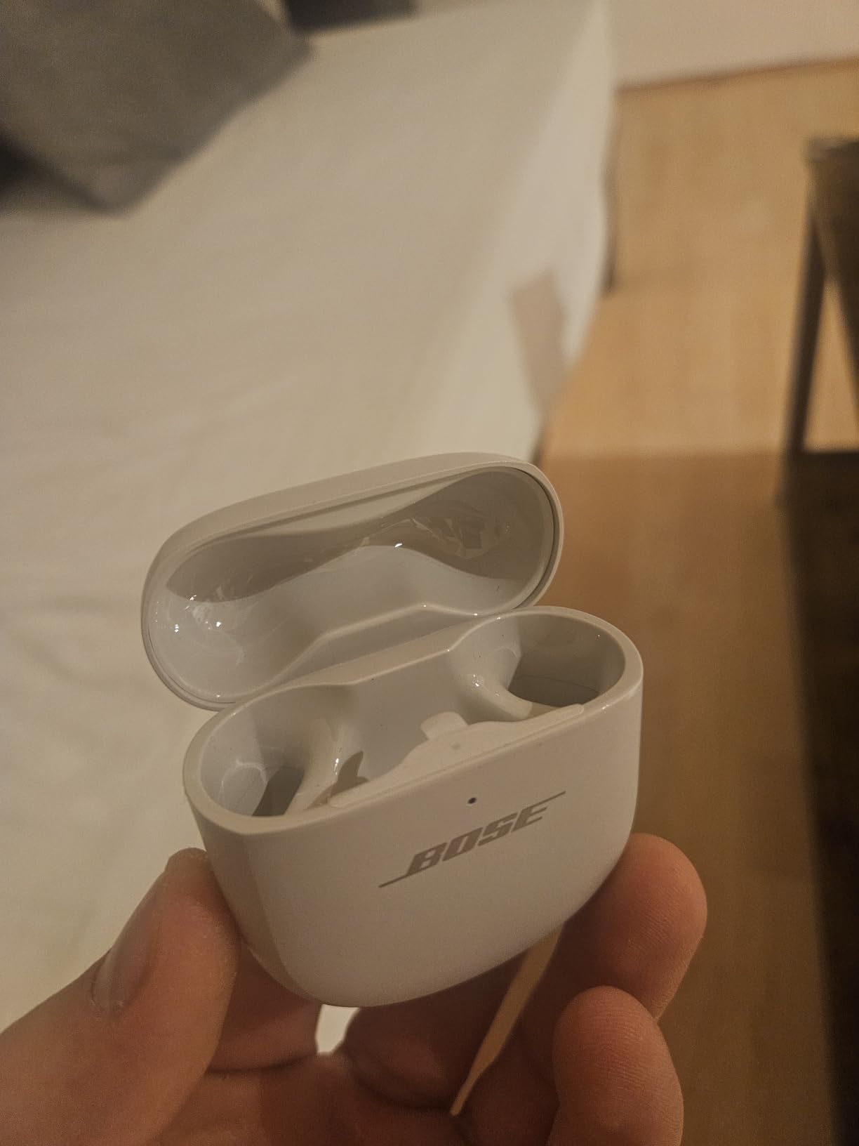 Great sound, battery could improve